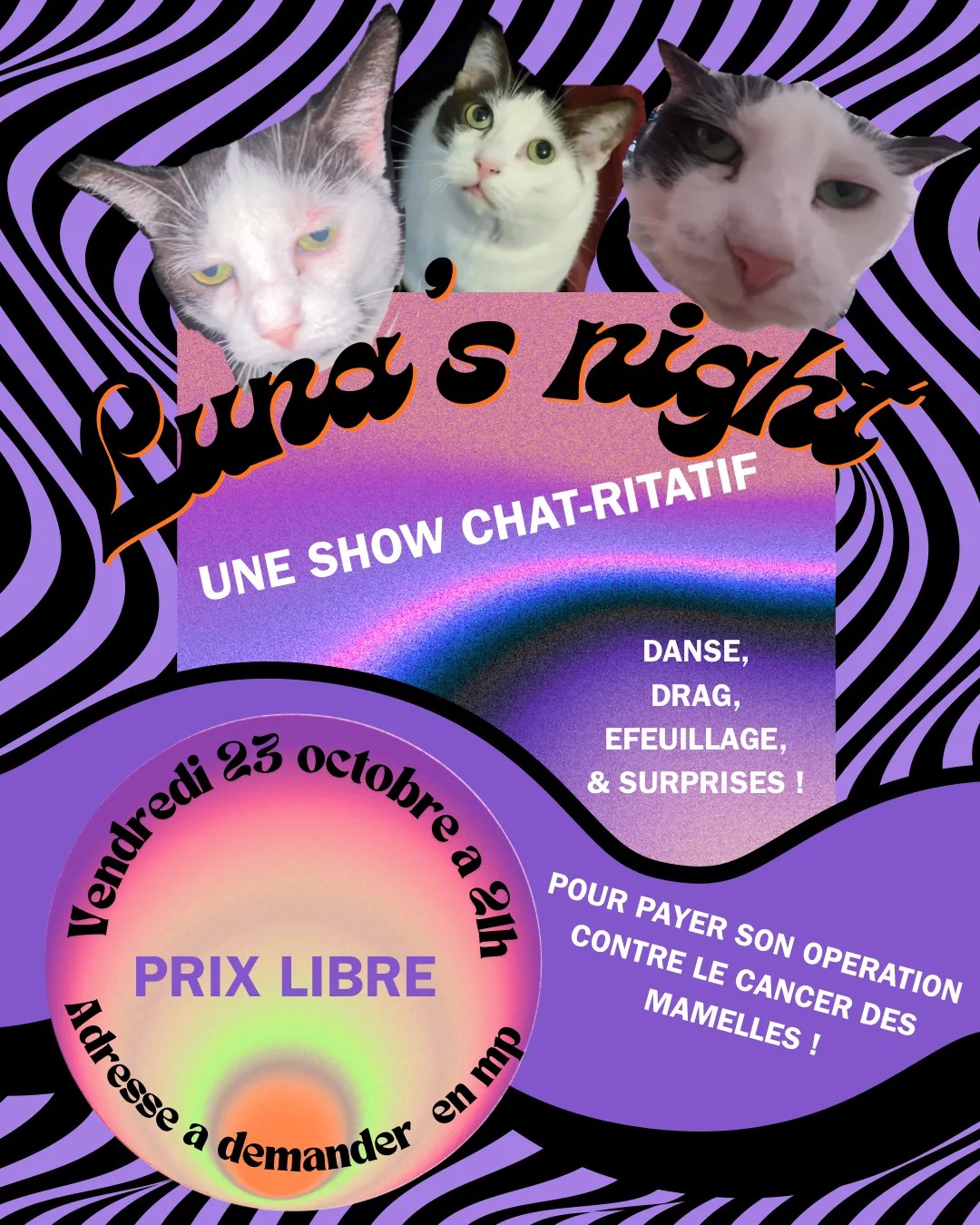 Luna’s Night - une soirée chat-ritative